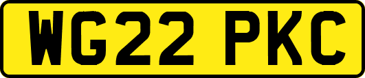 WG22PKC