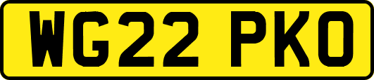 WG22PKO