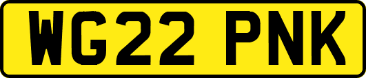 WG22PNK