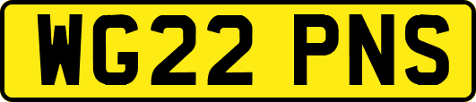 WG22PNS