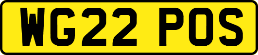 WG22POS