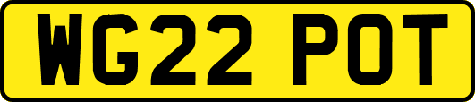 WG22POT