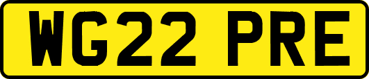WG22PRE