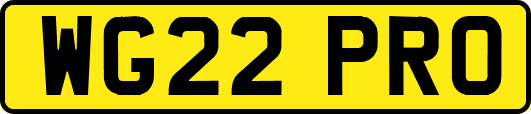WG22PRO