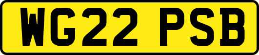 WG22PSB