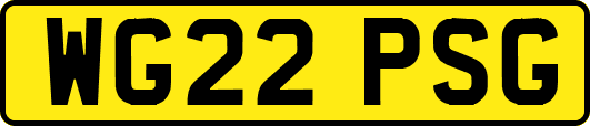 WG22PSG