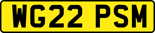 WG22PSM