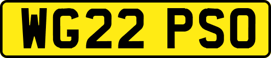 WG22PSO