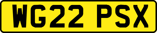 WG22PSX