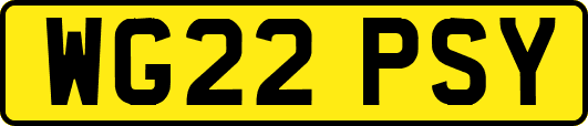 WG22PSY