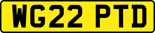 WG22PTD