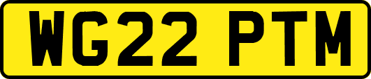 WG22PTM