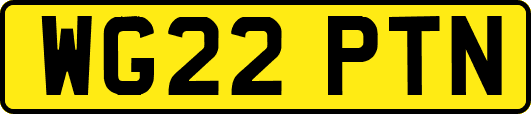 WG22PTN