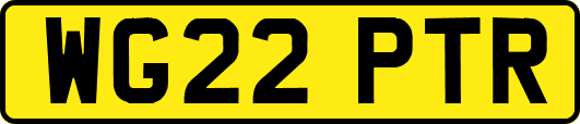 WG22PTR