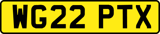 WG22PTX