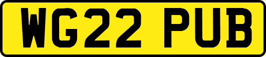 WG22PUB