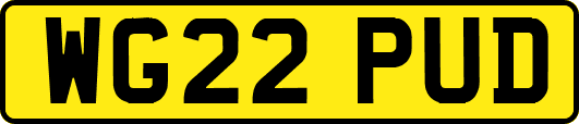 WG22PUD