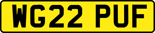 WG22PUF
