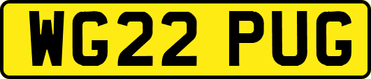 WG22PUG