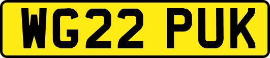 WG22PUK