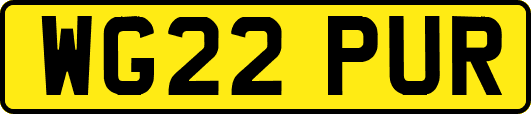 WG22PUR