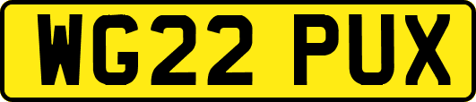 WG22PUX