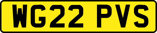 WG22PVS
