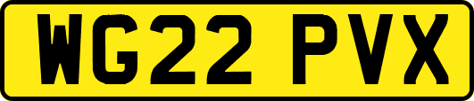 WG22PVX