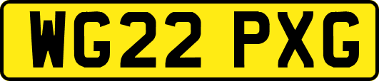 WG22PXG