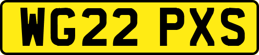 WG22PXS