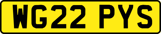 WG22PYS