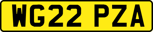 WG22PZA
