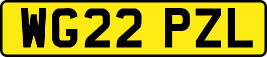 WG22PZL