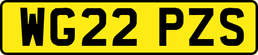 WG22PZS