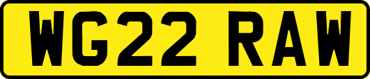 WG22RAW