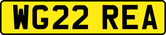 WG22REA
