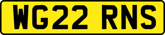 WG22RNS