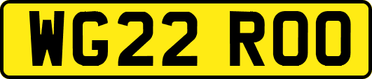 WG22ROO