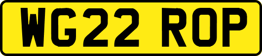 WG22ROP