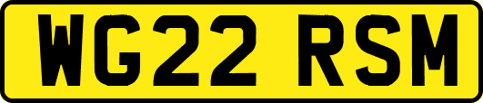 WG22RSM