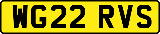 WG22RVS
