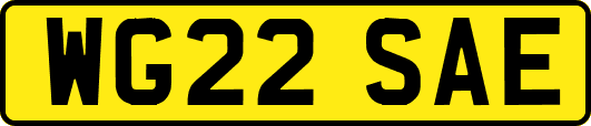 WG22SAE