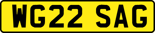 WG22SAG