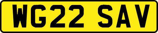 WG22SAV
