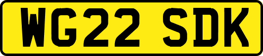 WG22SDK