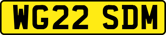 WG22SDM