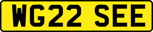 WG22SEE