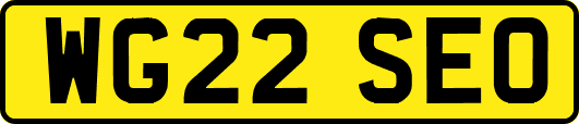 WG22SEO