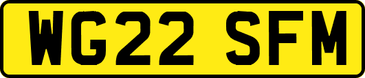 WG22SFM