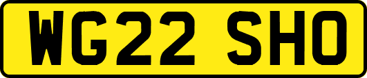 WG22SHO
